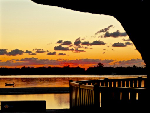 Gallery 25